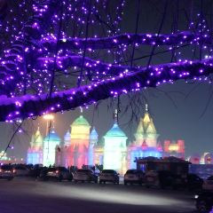 老关东渔庄 User Photo