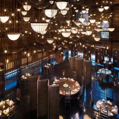 Five Zen5es User Photo