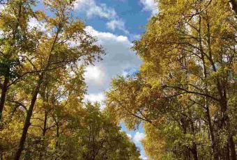 记忆旅行酒店餐厅(草原天路特色店) User Photo