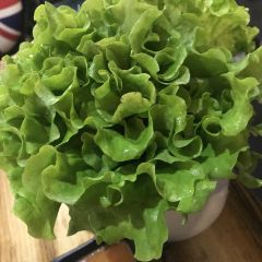 胡悦里韩式烤肉(莱州店) 여행 사진