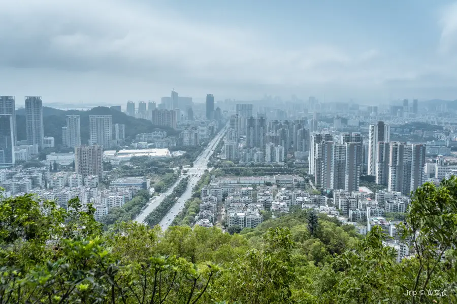 Banzhang Mountain Forest Park