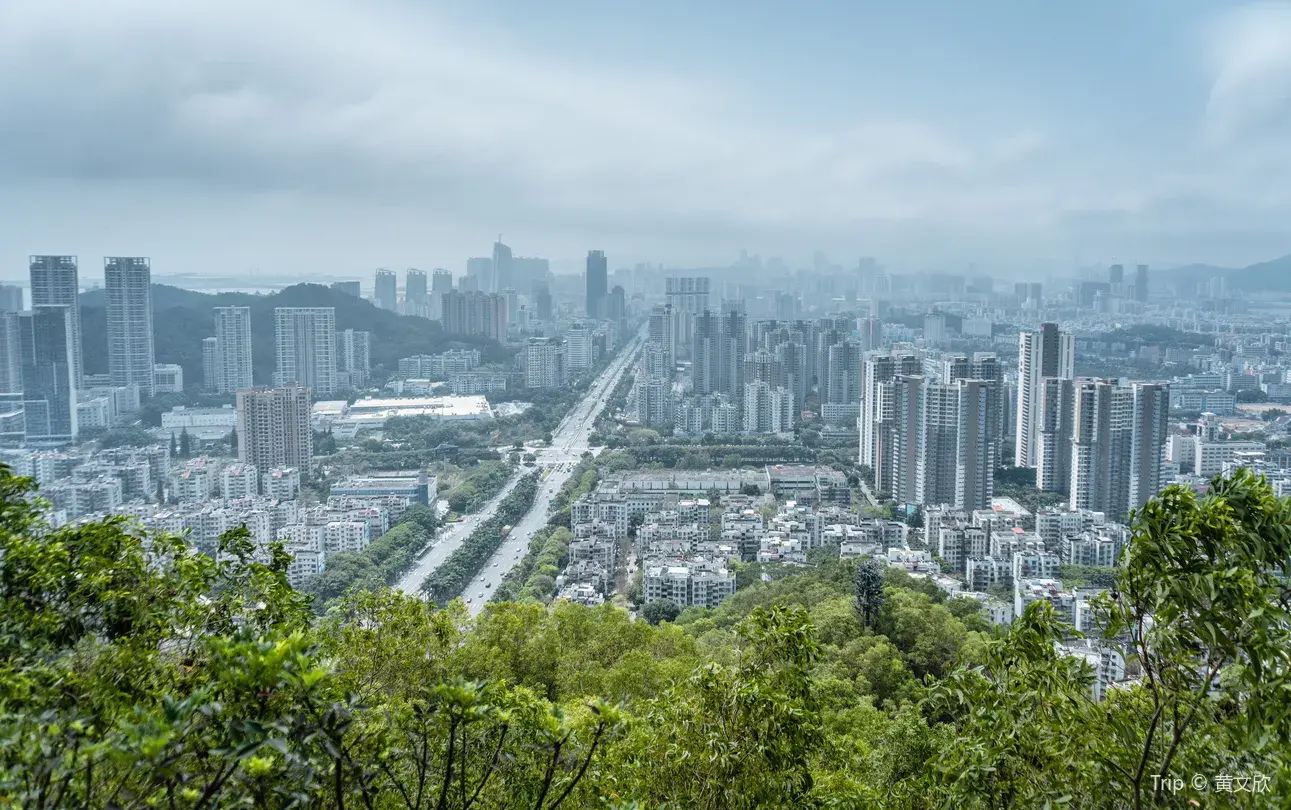 1_板樟山森林公園