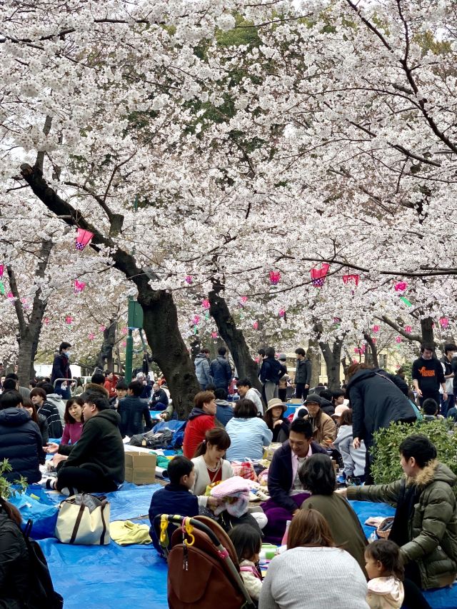 鶴舞公園attractions 名古屋travel Review Travel Guide Trip Com