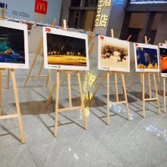 HENG FU 1993 User Photo