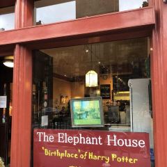 The Elephant House User Photo