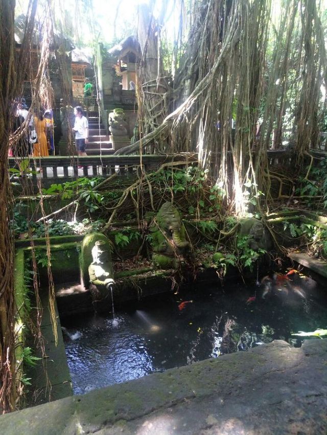 聖猴森林公園