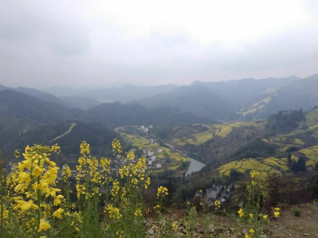 스탄촌