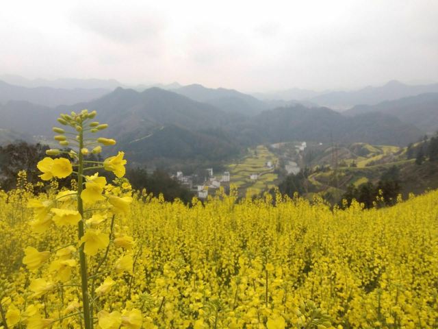 스탄촌