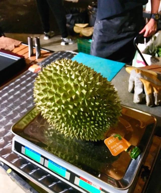 榴蓮BB 四季果園
