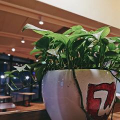 肯德基(上南店) User Photo