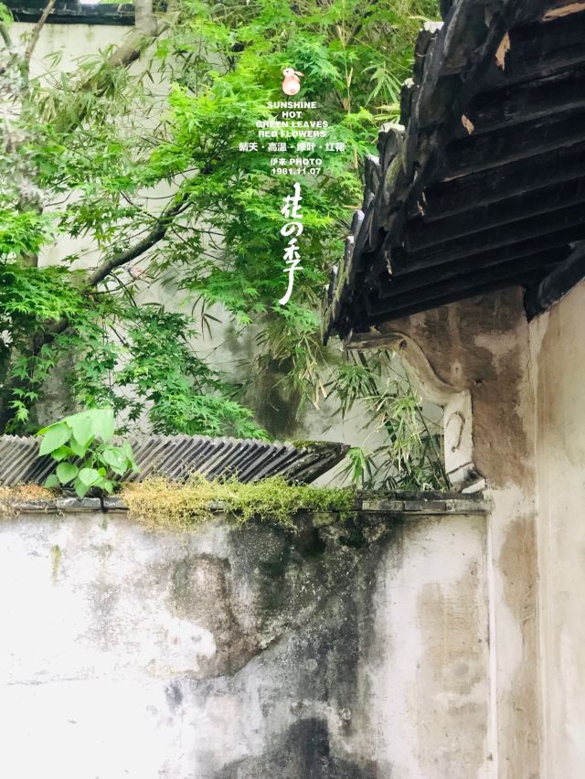 장팅