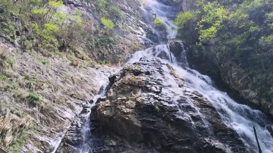 傳情人土菜館