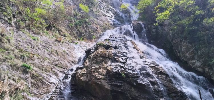 传情人土菜馆