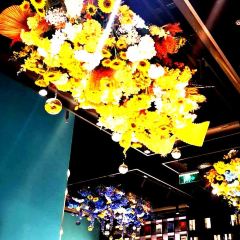 VanGogh Fans Café User Photo