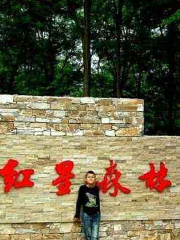 Zhangwuxian Hongxing Forest Park Sceneic Area