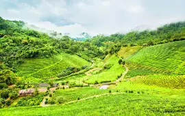 หมู่บ้านสันติคีรี