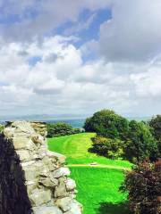 Oystermouth Castle