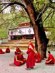 Scriptural Debate Of Sera Monastery