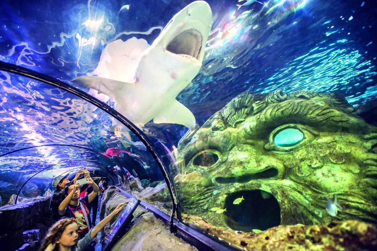 SEA LIFE Sydney Aquarium: Opening Hours