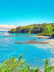 ティリティリ マタンギ島