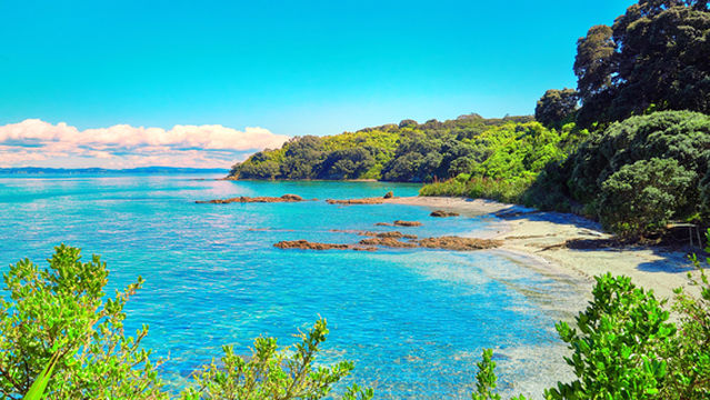 Tiritiri Matangi Island