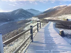 達阪山觀景台