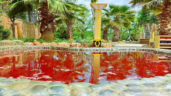 Stone Forest Hot Springs
