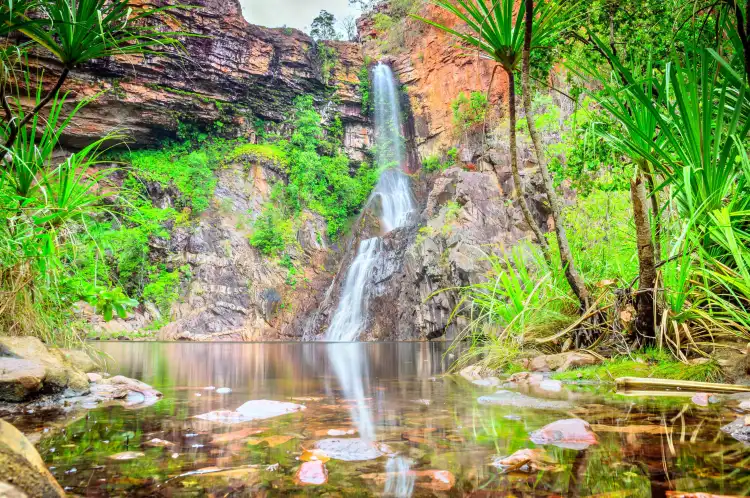 Hotel dekat Litchfield National Park