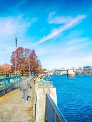 Tom McCall Waterfront Park