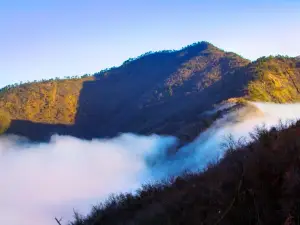 梅樹底風景區