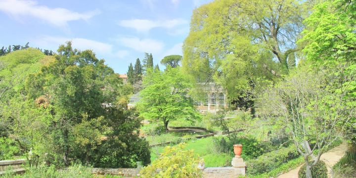 Le Jardin des Plantes