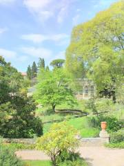 Jardin des Plantes de Montpellier