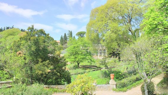 Le Jardin des Plantes
