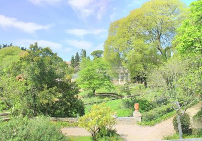 Jardin des Plantes de Montpellier