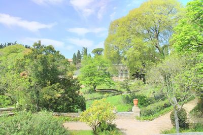 Le Jardin des Plantes