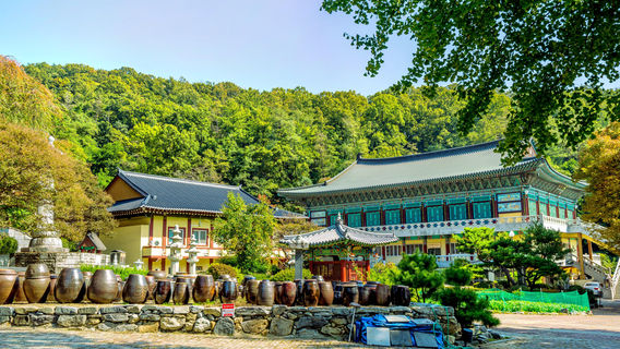 Cheong Ju