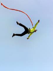 Jungle Bungy Jump