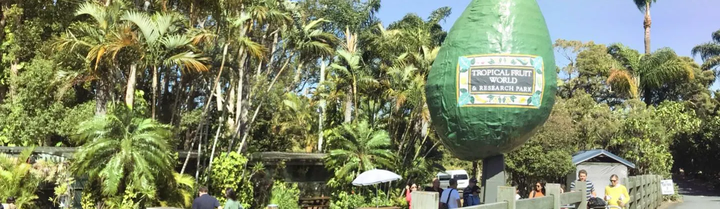 Family-Friendly Attractions