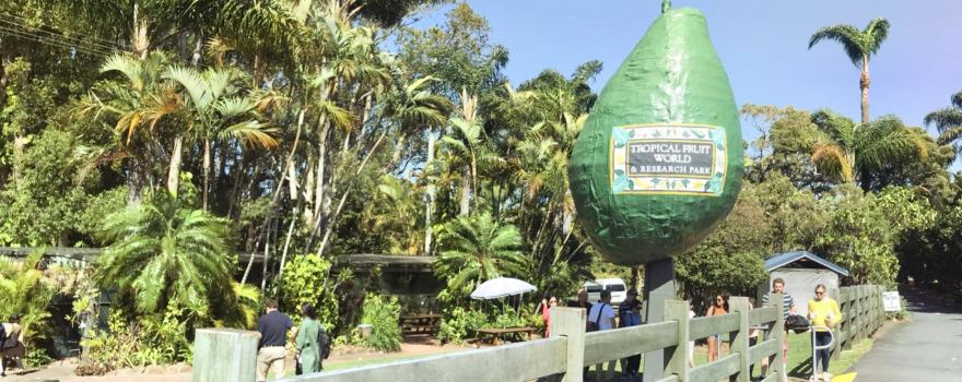 Tropical Fruit World