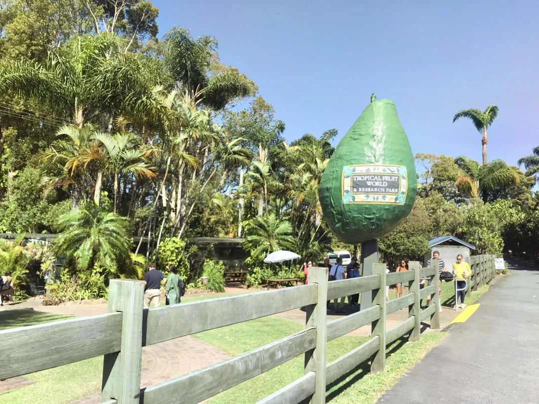1_Tropical Fruit World