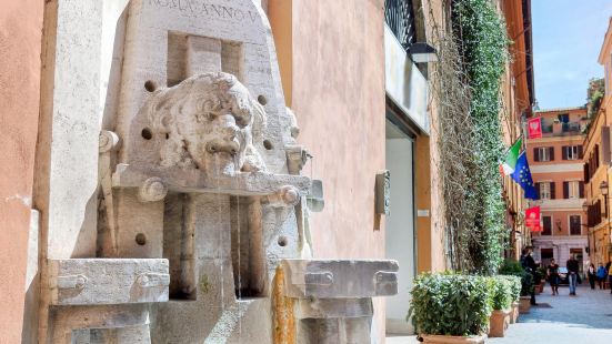 Duegi Srl Reviews Food Drinks In Lazio Rome Trip Com
