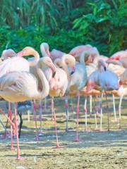 漢諾威動物園