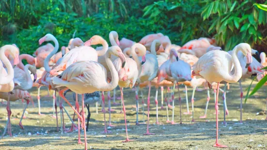 漢諾威動物園