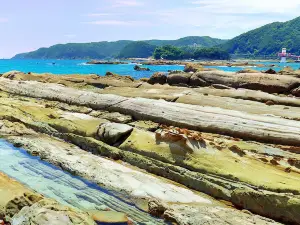 Tatsukushi Marine Park