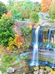 Webster Falls (Reservations Required)