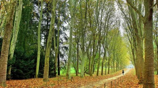 Parc De Sceaux