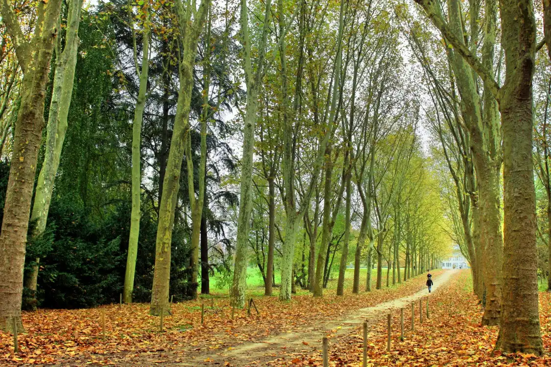 Hotels near Parc De Sceaux