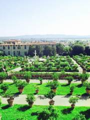 Giardino della Villa Medicea di Castello