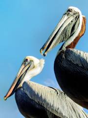 Crane Point Museum & Nature Center