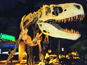McWane Science Center